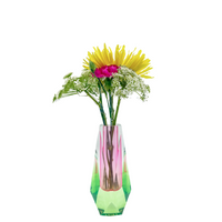 Lumina Iridescent Small Acrylic Vase - Pink/Green