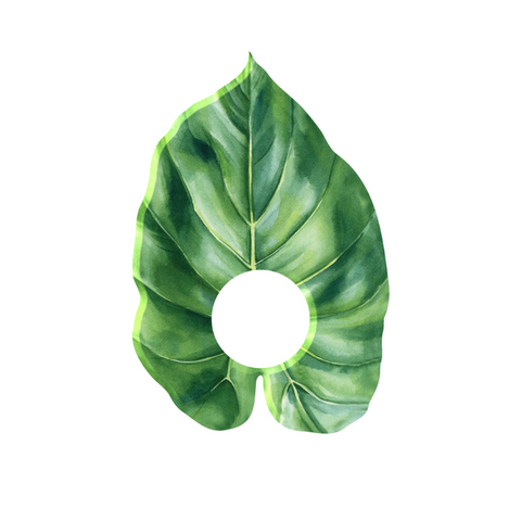 Foliage Acrylic Napkin Rings - Set of 6