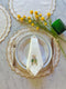 Off White Linen Double Scalloped Placemats - Set of 4