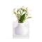 Doyers Bud Vase White