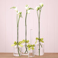 Set of 4 Glass Jug Vases