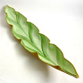 Hand-Painted Sculpted Linen Leaf Basket - Pine/Frost
