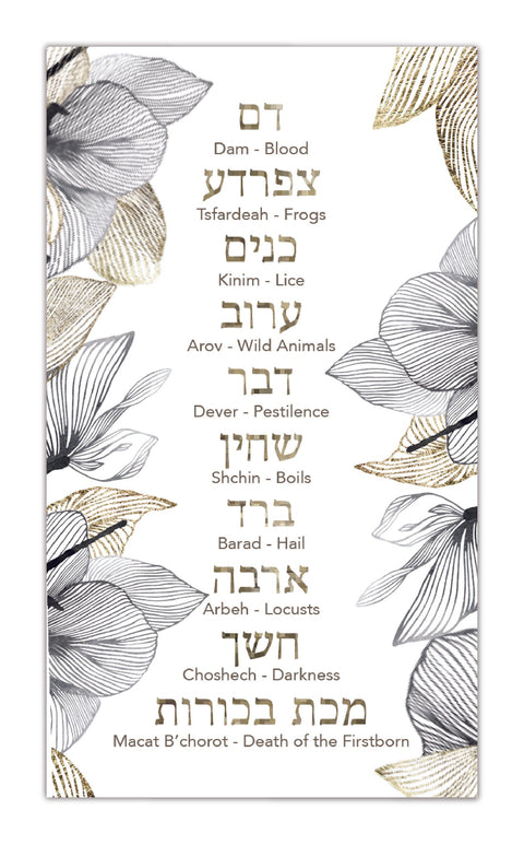 Passover Chag Sameach Paper Placemats & Coasters - Set of 12