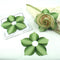 Bouquet Napkin Ring - Set of 4 - Mint/Pine